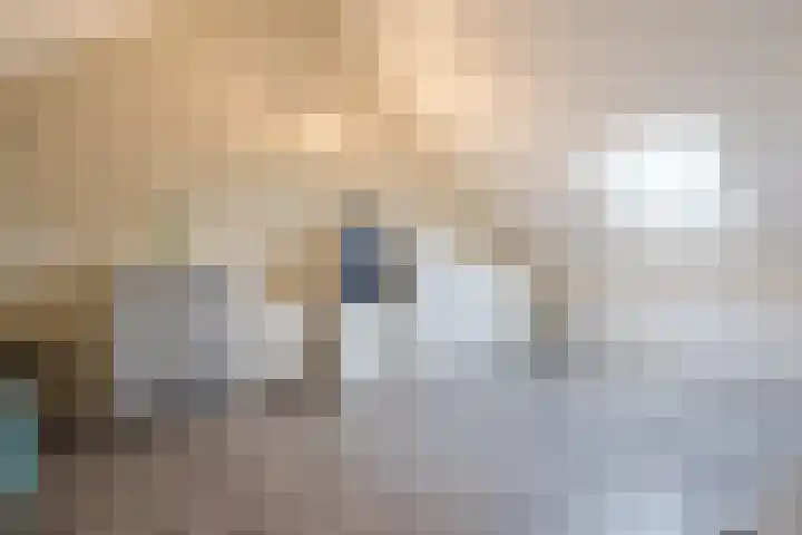 Zilverschat 8 Cuijk thumbnail 4