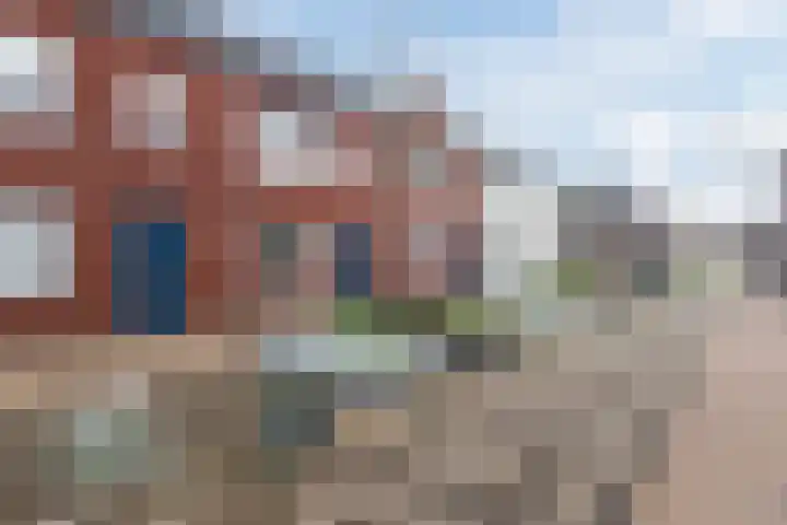 Zilverschat 8 Cuijk thumbnail 6