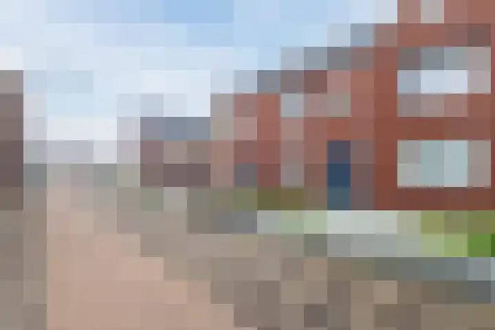 Zilverschat 8 Cuijk thumbnail 7