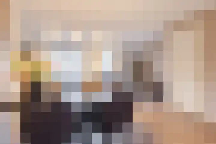 Zilverschat 8 Cuijk thumbnail 8