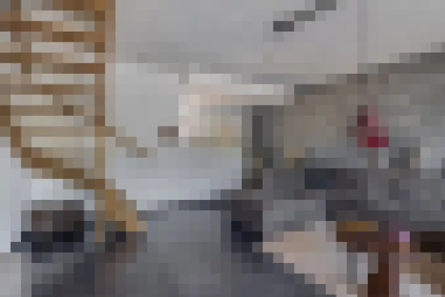 Zilverschoon 12 Boskoop thumbnail 11