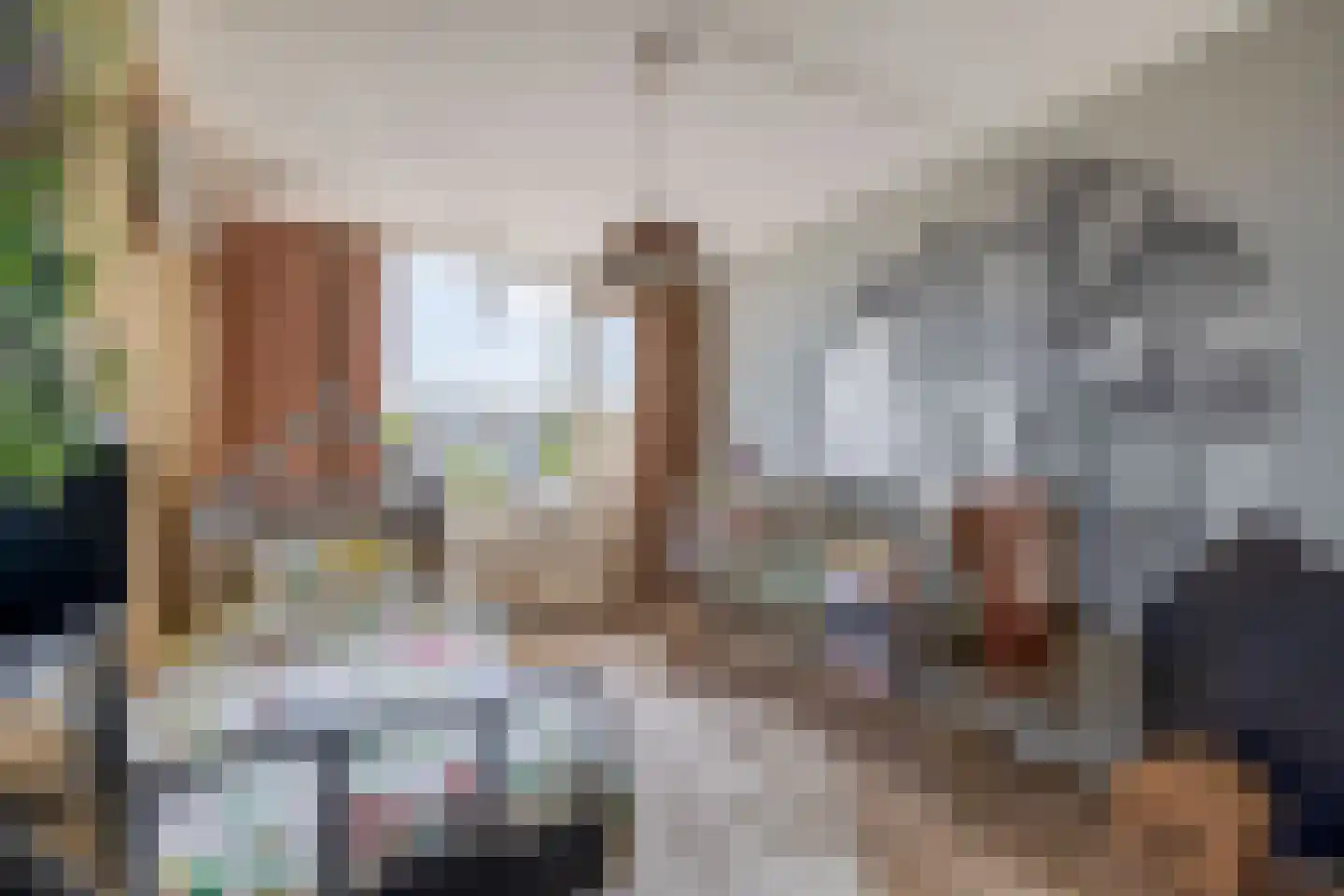 Zilverschoon 12 Boskoop thumbnail 14