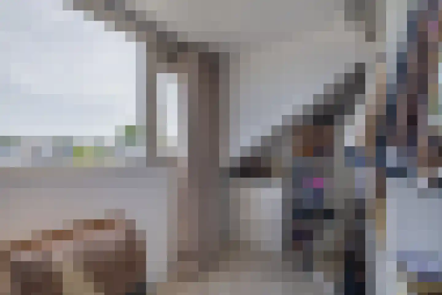 Zilverschoon 12 Boskoop thumbnail 18