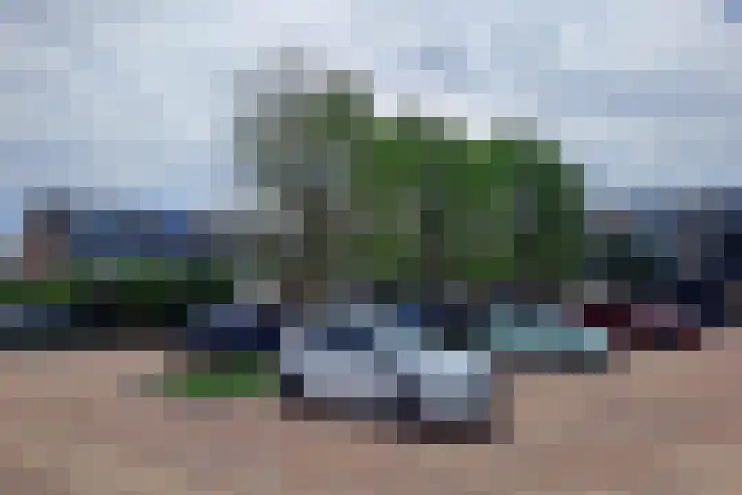 Zilverschoon 12 Boskoop thumbnail 22