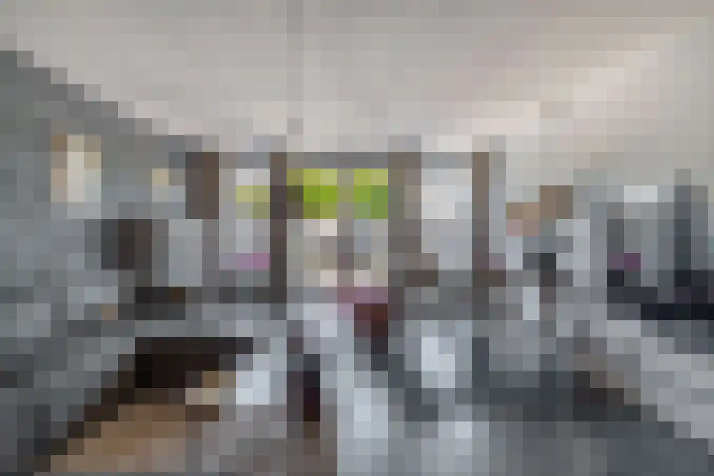 Zilverschoon 12 Boskoop thumbnail 4