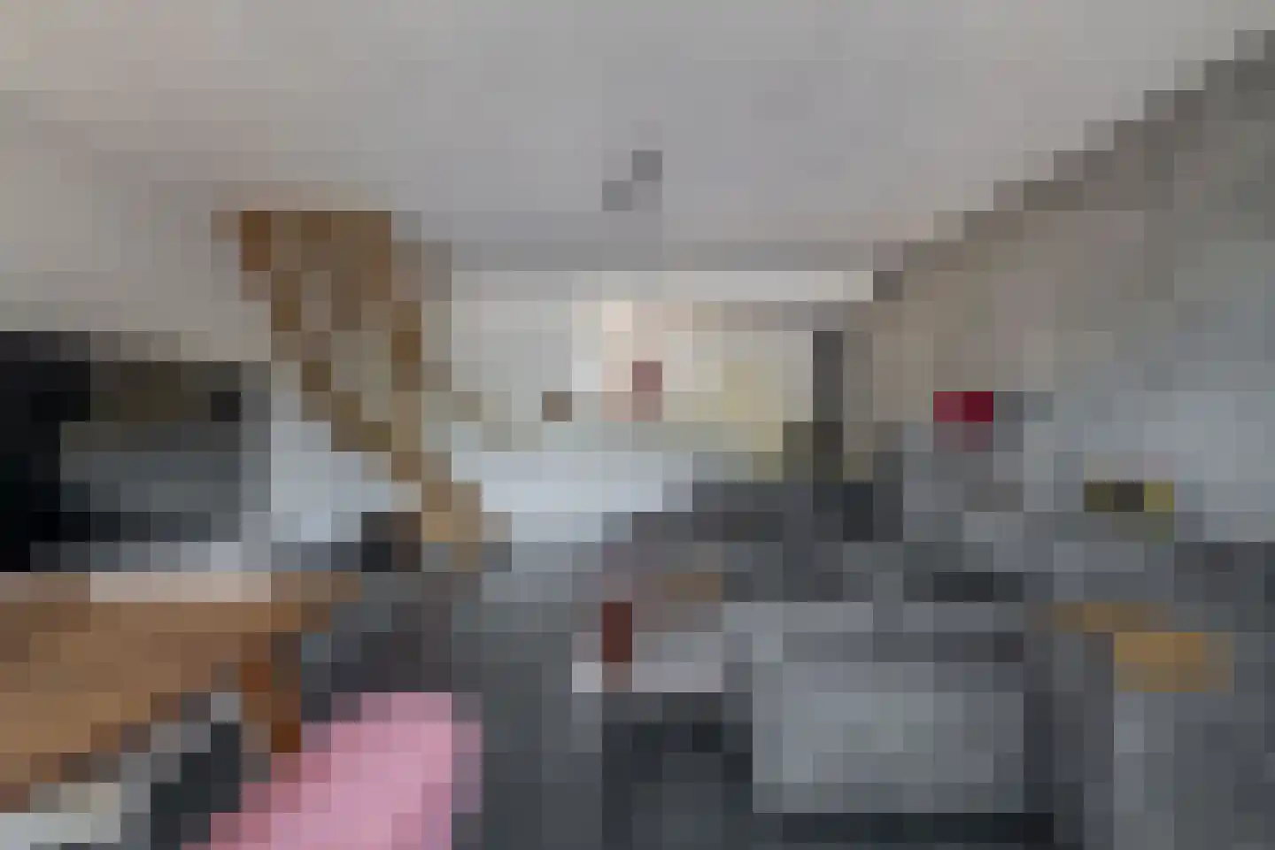 Zilverschoon 12 Boskoop thumbnail 5