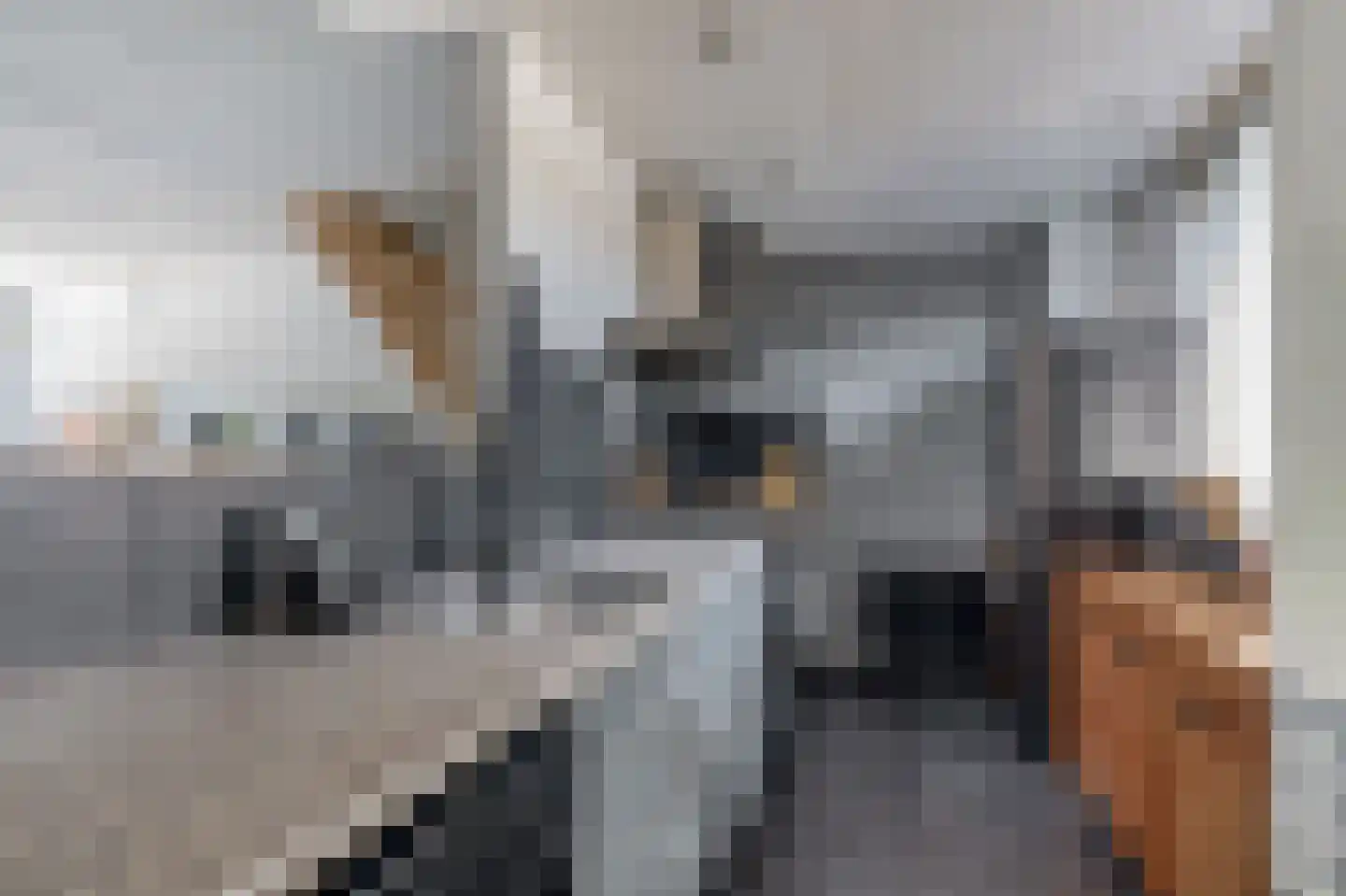 Zilverschoon 12 Boskoop thumbnail 6