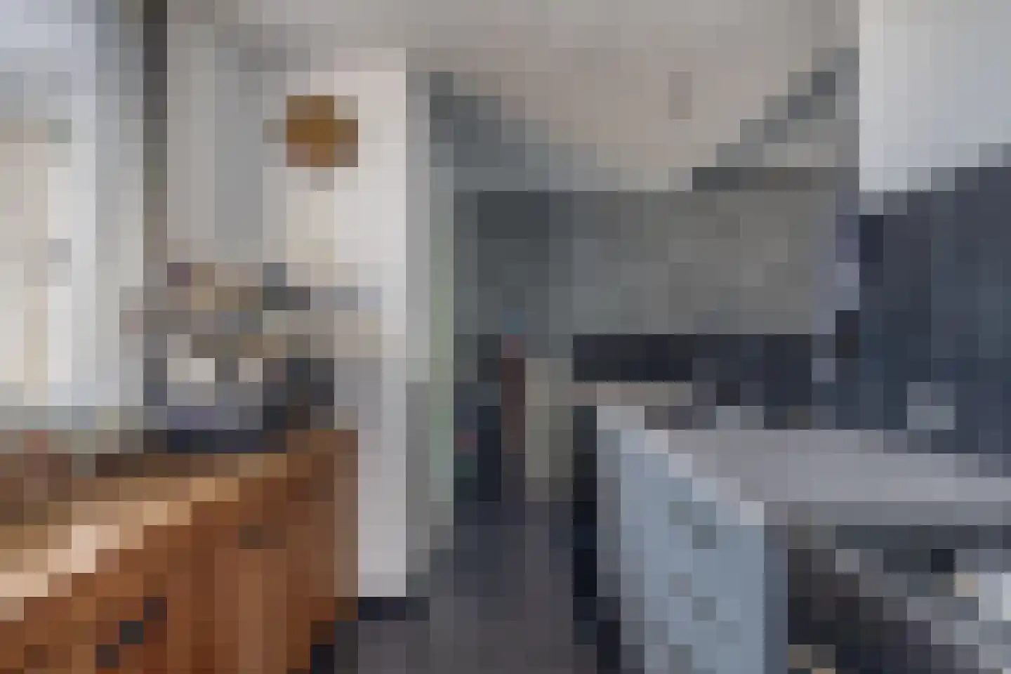 Zilverschoon 12 Boskoop thumbnail 7