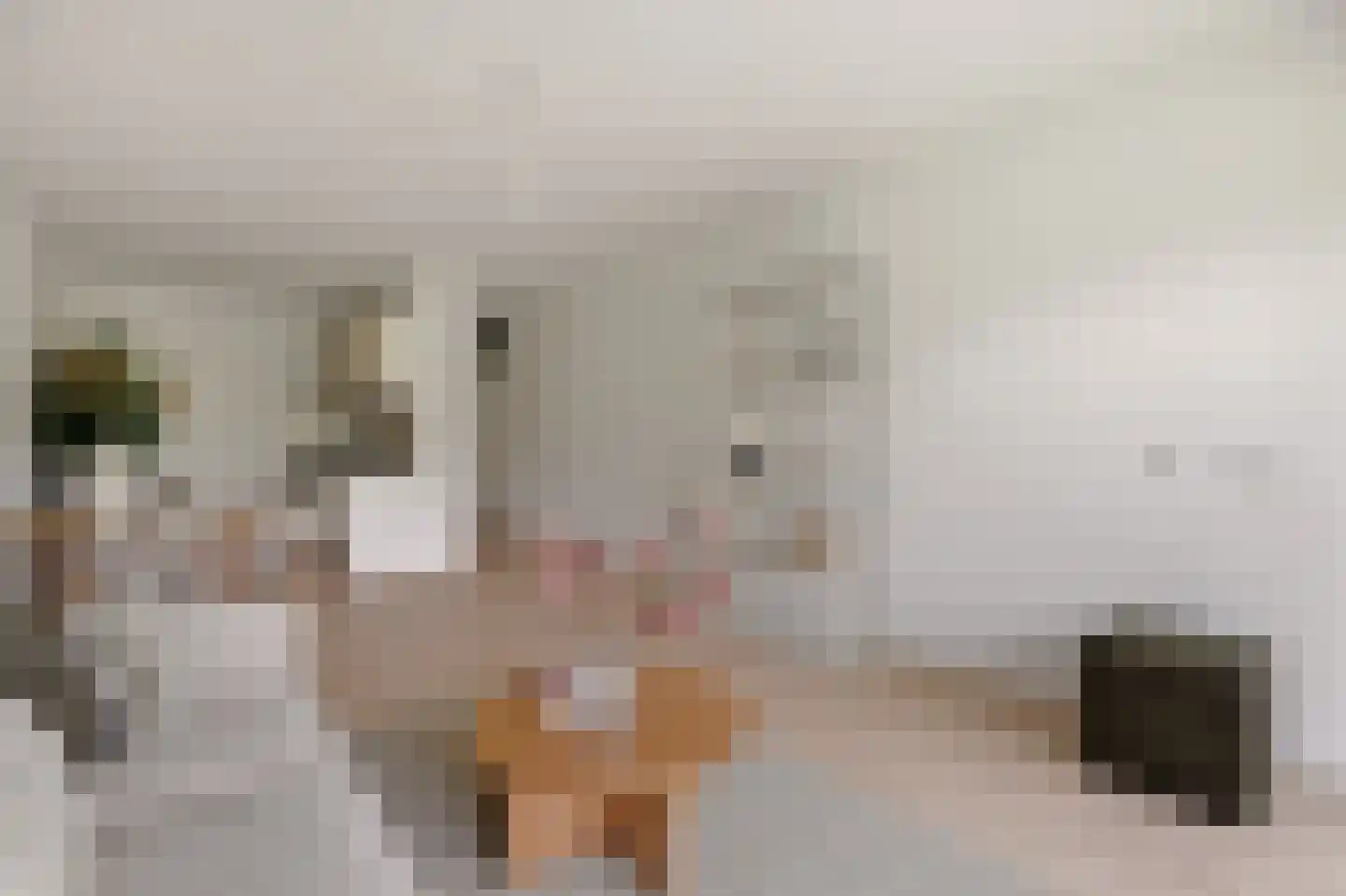 Zilverschoon 12 Uithoorn thumbnail 10