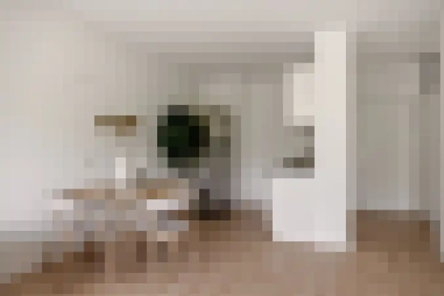 Zilverschoon 12 Uithoorn thumbnail 12