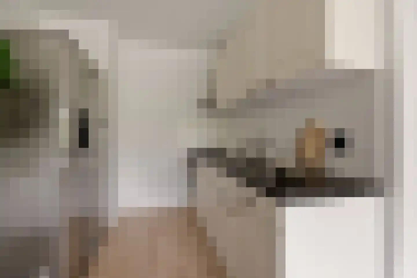 Zilverschoon 12 Uithoorn thumbnail 13