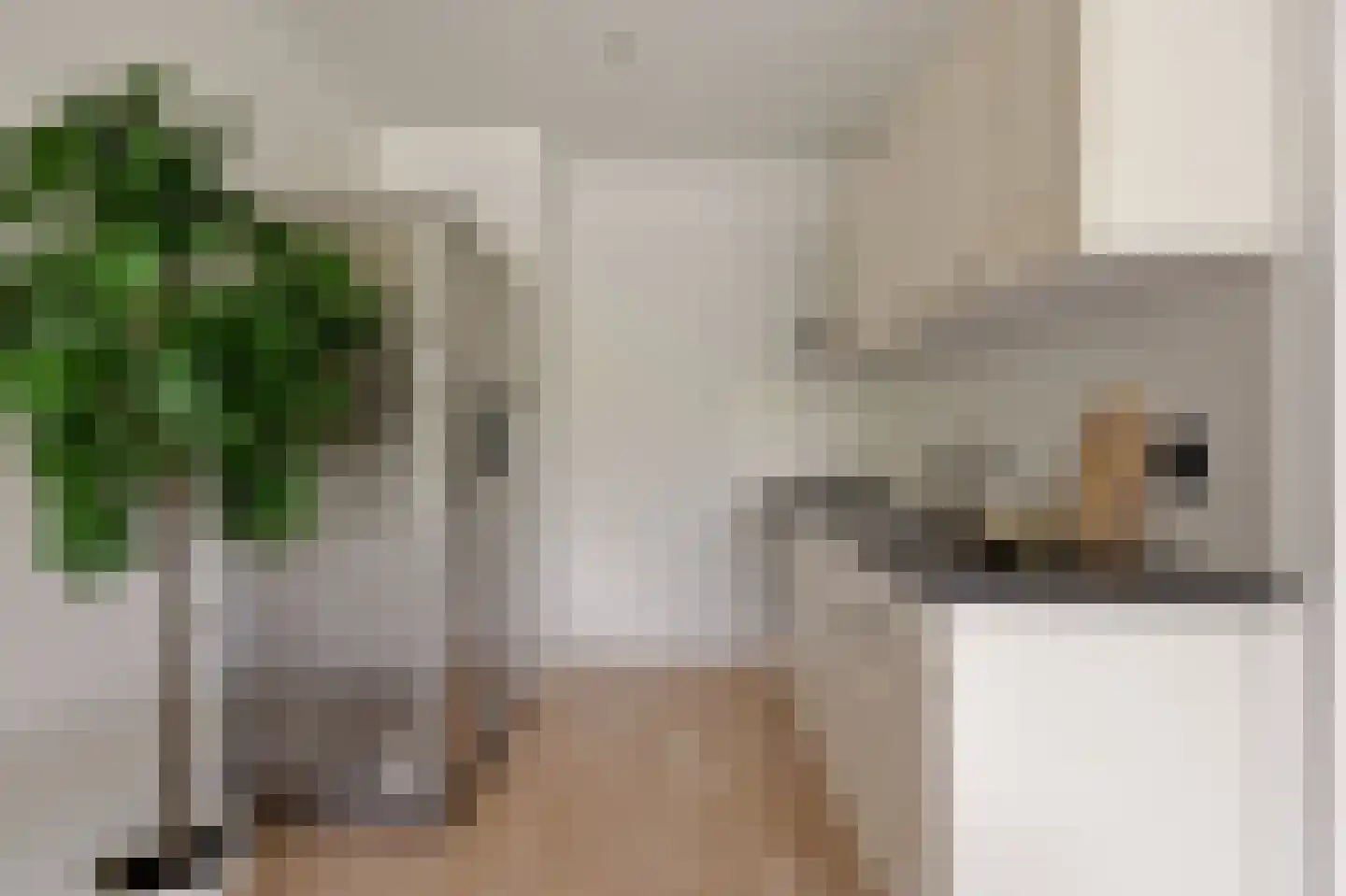 Zilverschoon 12 Uithoorn thumbnail 14