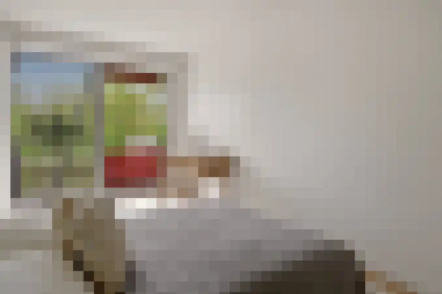 Zilverschoon 12 Uithoorn thumbnail 19