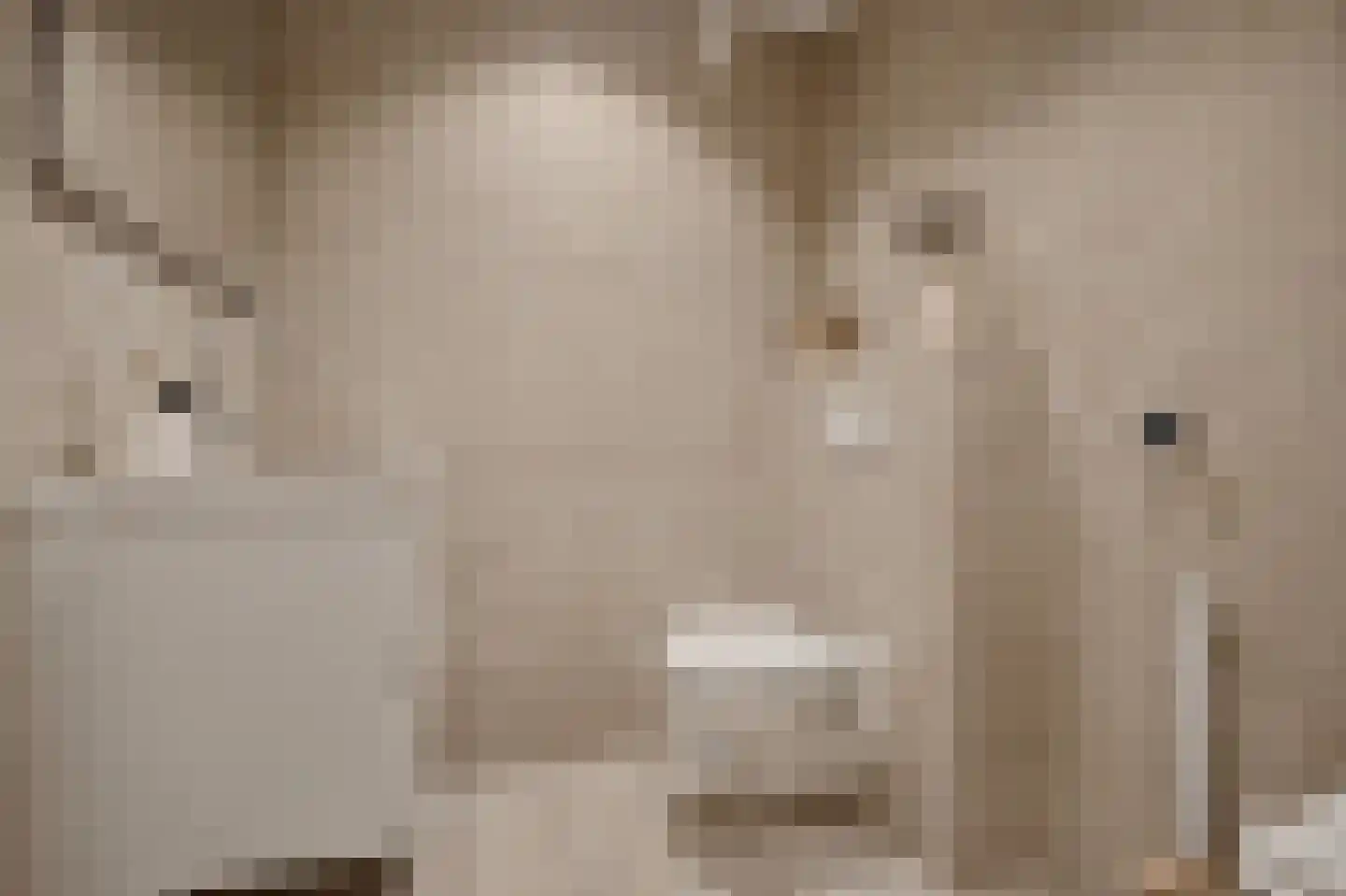 Zilverschoon 12 Uithoorn thumbnail 26