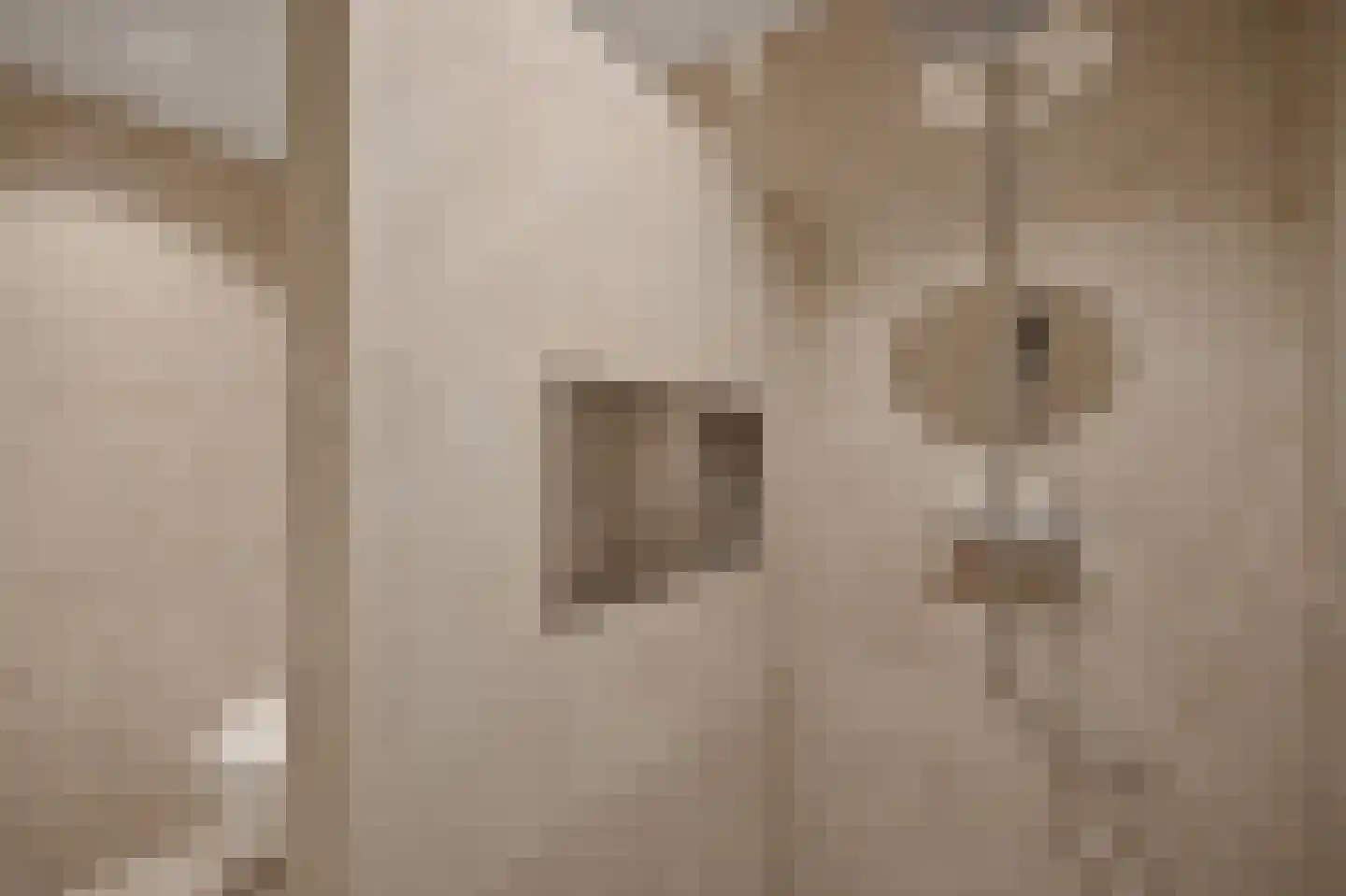 Zilverschoon 12 Uithoorn thumbnail 27