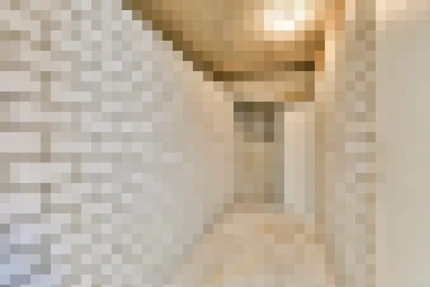 Zilverschoon 12 Uithoorn thumbnail 31