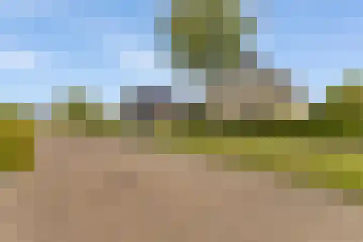 Zilverschoon 13 Delfzijl thumbnail 10