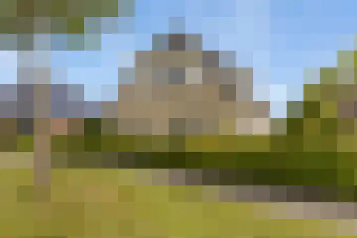 Zilverschoon 13 Delfzijl thumbnail 11