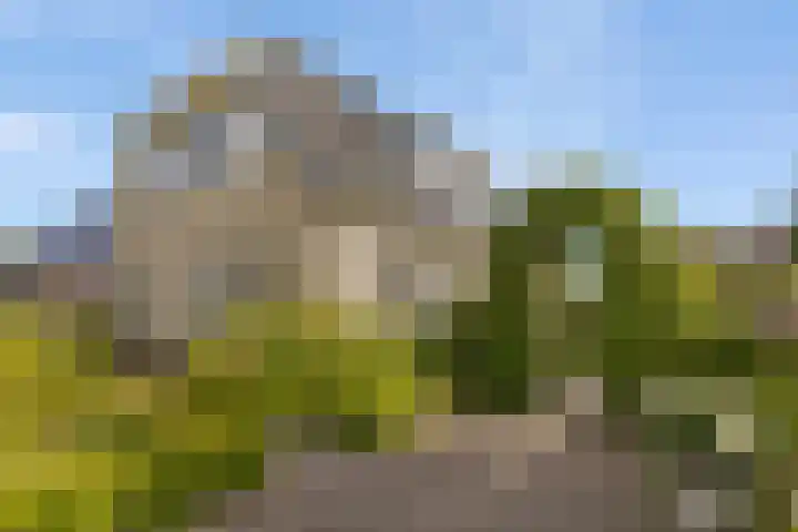 Zilverschoon 13 Delfzijl thumbnail 12