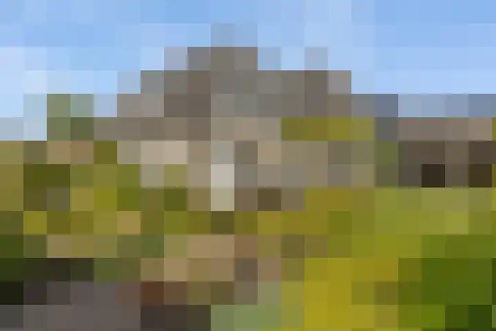 Zilverschoon 13 Delfzijl thumbnail 15