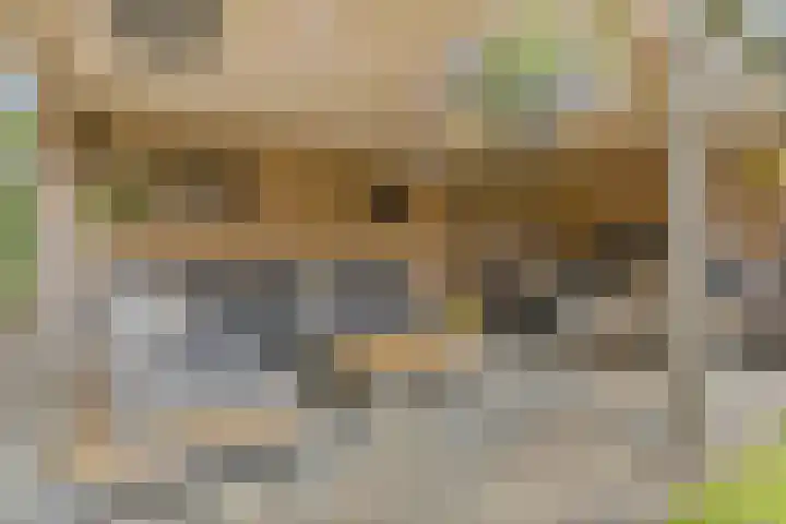 Zilverschoon 13 Delfzijl thumbnail 19