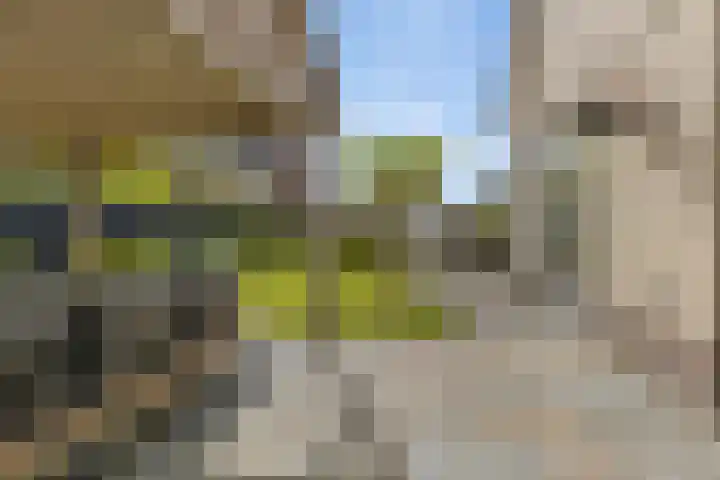 Zilverschoon 13 Delfzijl thumbnail 21