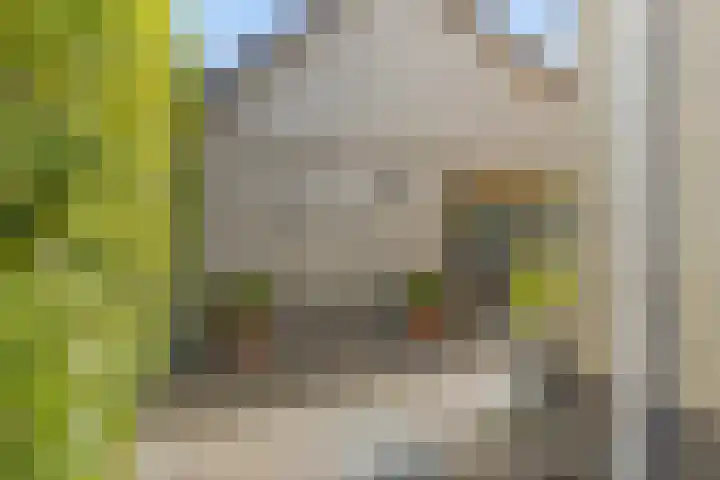 Zilverschoon 13 Delfzijl thumbnail 22