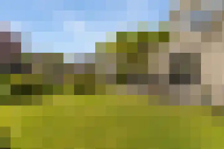 Zilverschoon 13 Delfzijl thumbnail 23
