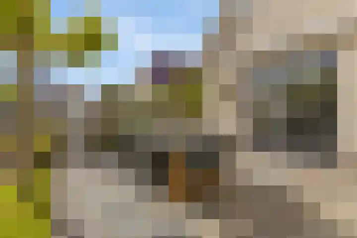 Zilverschoon 13 Delfzijl thumbnail 24