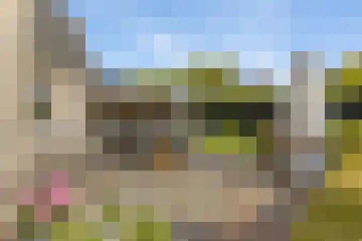 Zilverschoon 13 Delfzijl thumbnail 25