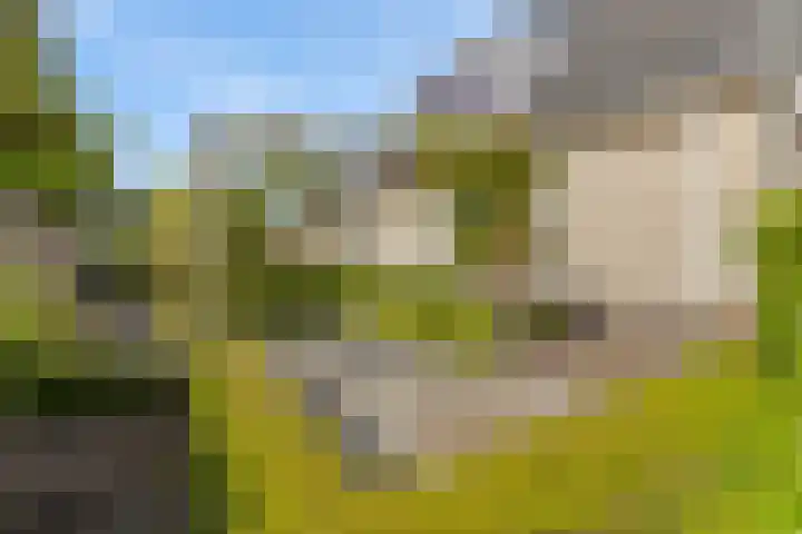 Zilverschoon 13 Delfzijl thumbnail 26