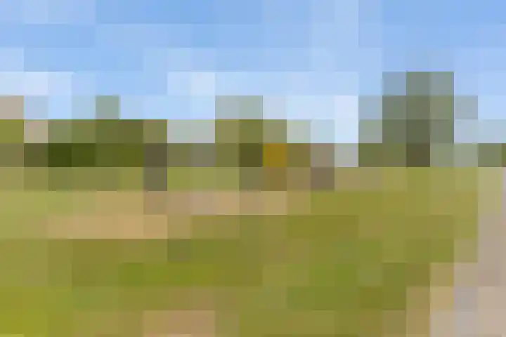 Zilverschoon 13 Delfzijl thumbnail 28
