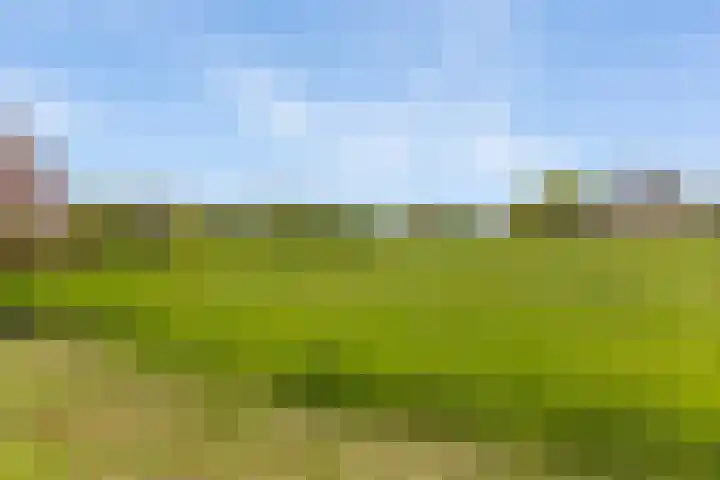 Zilverschoon 13 Delfzijl thumbnail 29