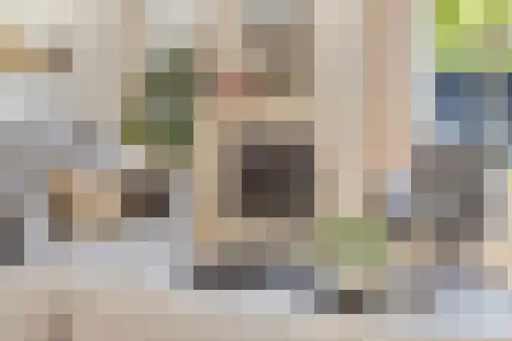 Zilverschoon 13 Delfzijl thumbnail 4