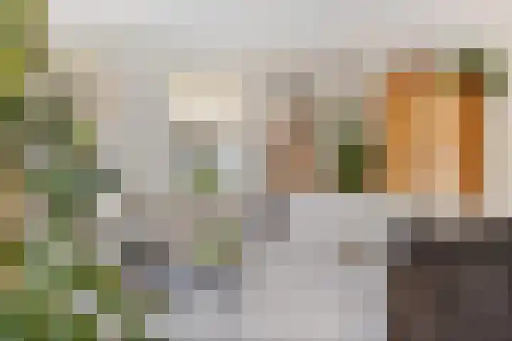 Zilverschoon 13 Delfzijl thumbnail 5