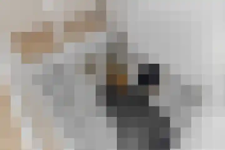 Zilverschoon 13 Delfzijl thumbnail 54