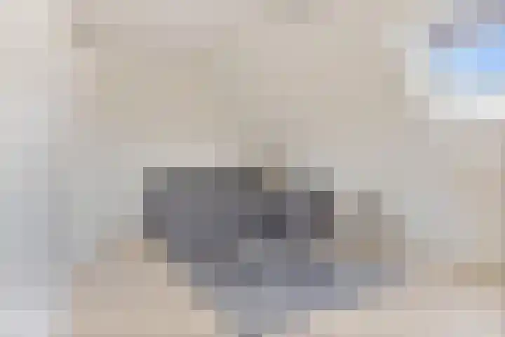 Zilverschoon 13 Delfzijl thumbnail 61
