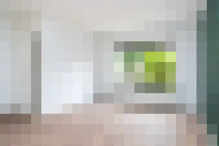 Zilverschoon 14 Nijverdal thumbnail 11