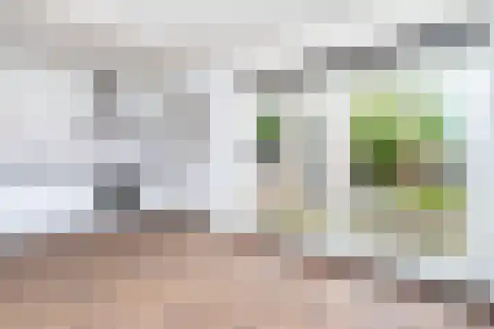 Zilverschoon 14 Nijverdal thumbnail 14