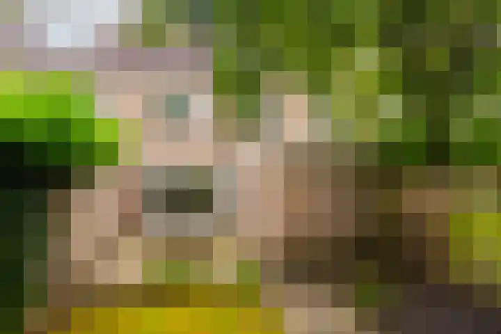 Zilverschoon 14 Nijverdal thumbnail 27