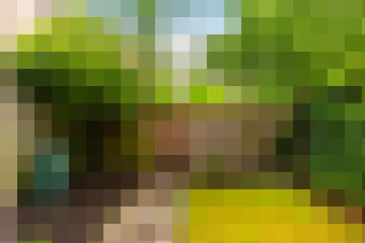 Zilverschoon 14 Nijverdal thumbnail 28