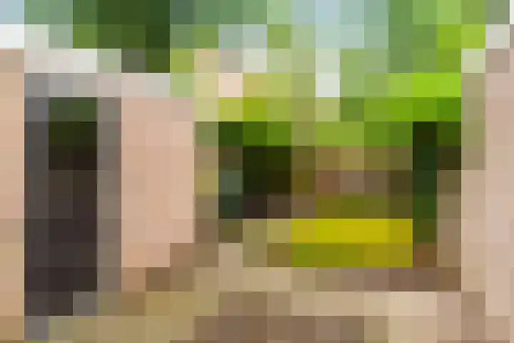 Zilverschoon 14 Nijverdal thumbnail 29