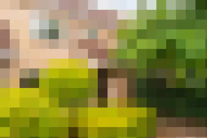 Zilverschoon 14 Nijverdal thumbnail 5