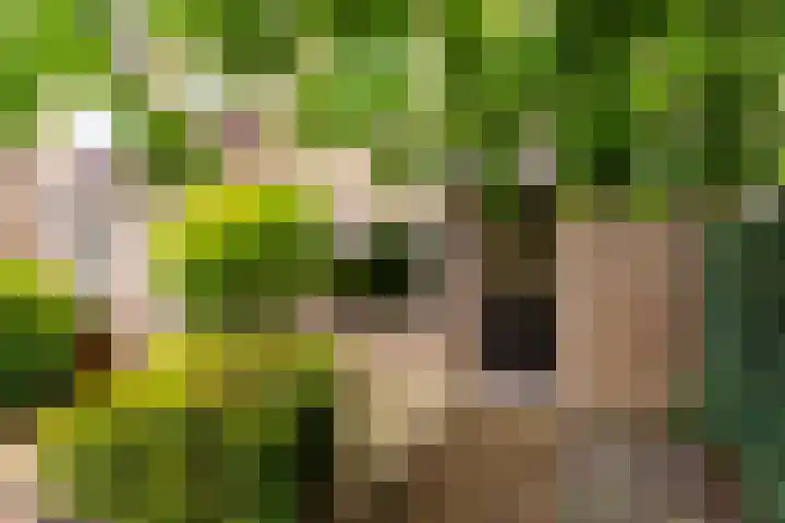 Zilverschoon 14 Nijverdal thumbnail 6