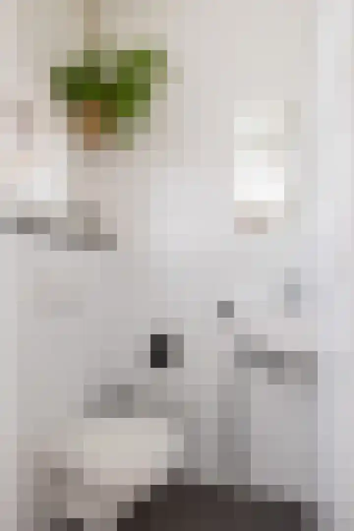 Zilverschoon 14 Sneek thumbnail 11