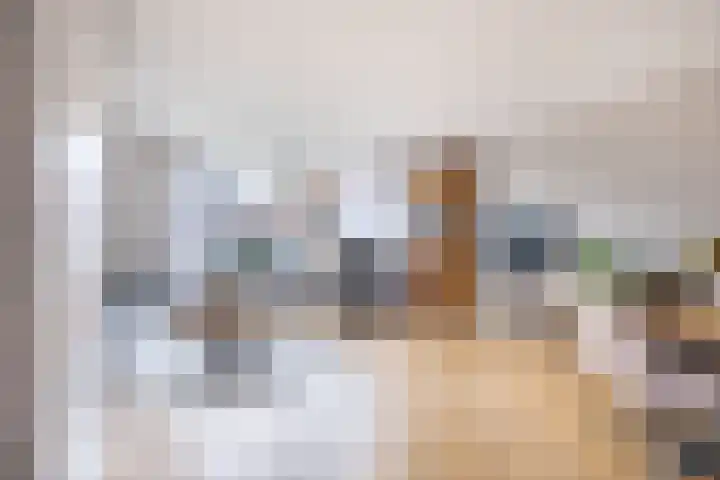 Zilverschoon 14 Sneek thumbnail 14