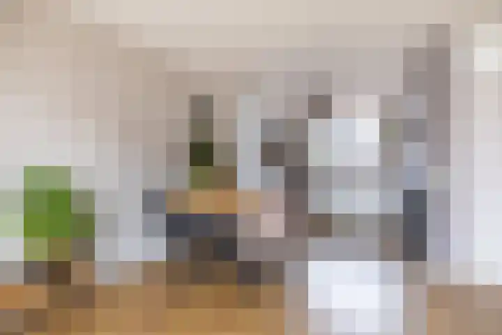 Zilverschoon 14 Sneek thumbnail 19