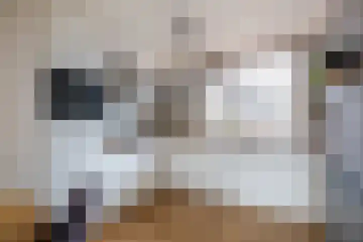 Zilverschoon 14 Sneek thumbnail 20