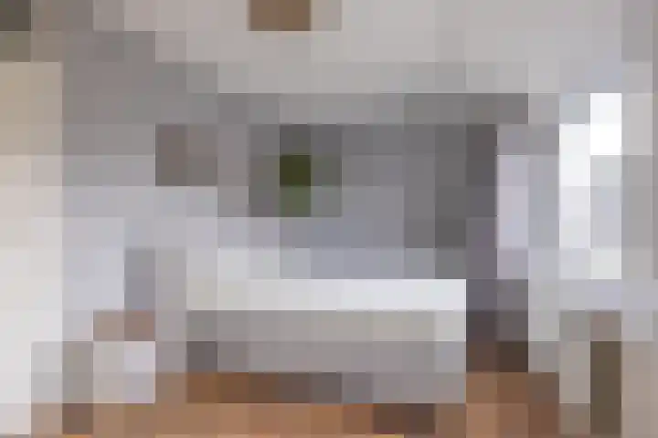 Zilverschoon 14 Sneek thumbnail 28