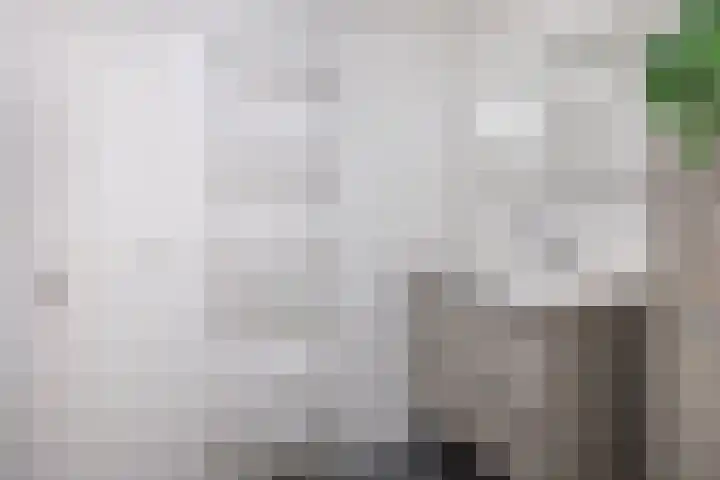 Zilverschoon 14 Sneek thumbnail 35